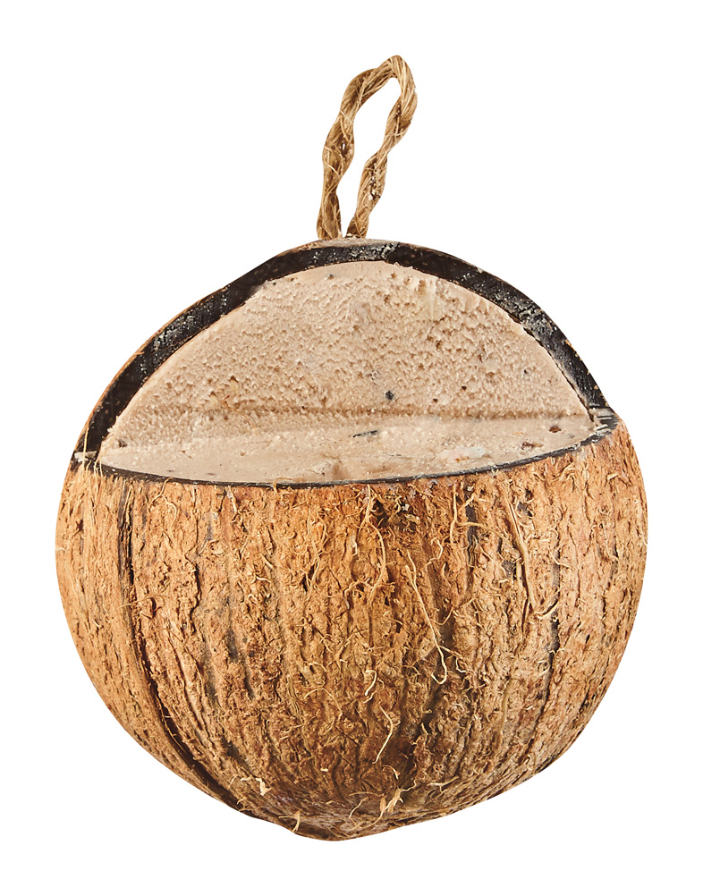 Kokosnuss mit Erdnussbutter