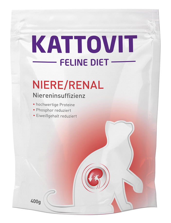 Niere/Renal