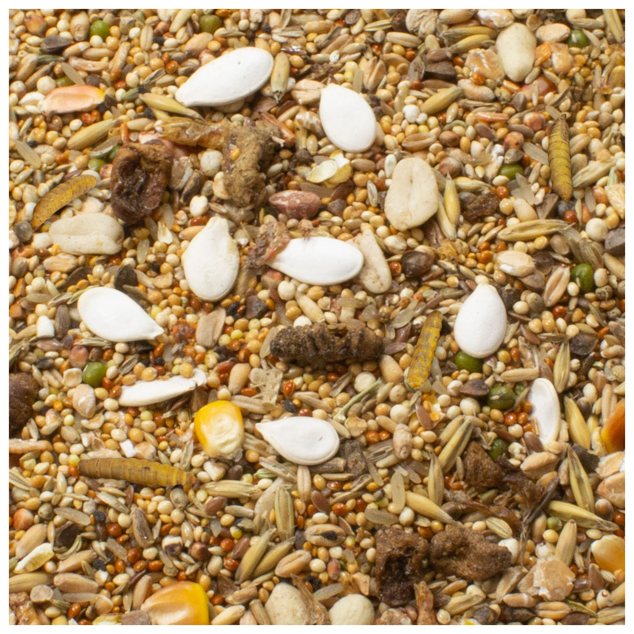 JR Farm - Zwerghamster-Schmaus - 1 x 600g - 2