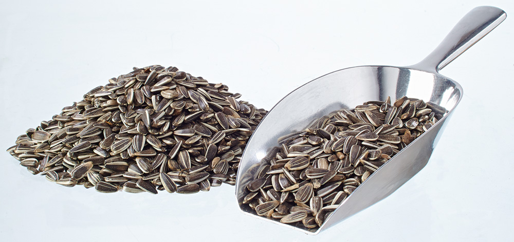 Sonnenblumenkerne gestreift 25kg