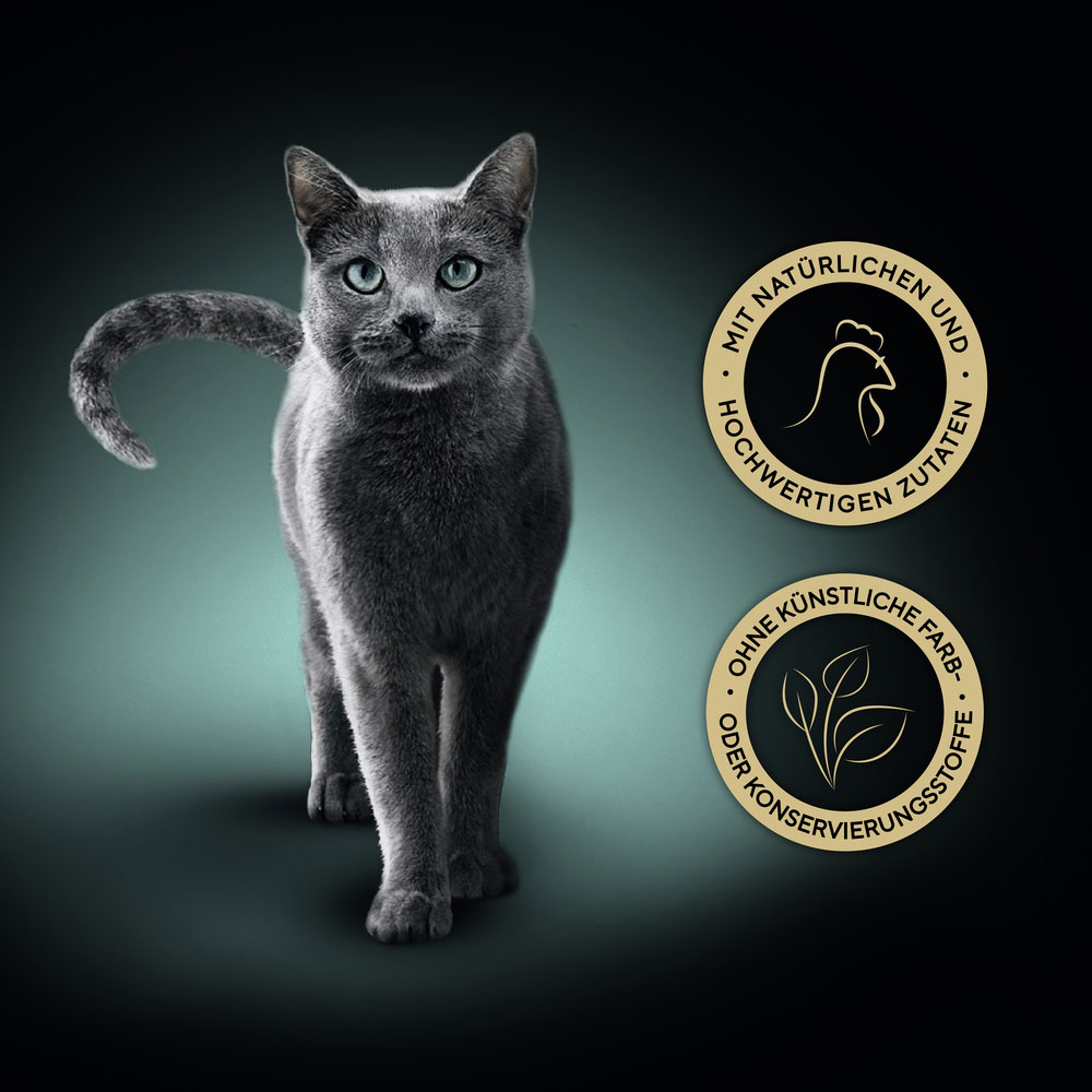 Sheba - Filets mit natürlichem Huhn - 16 x 60g - 7