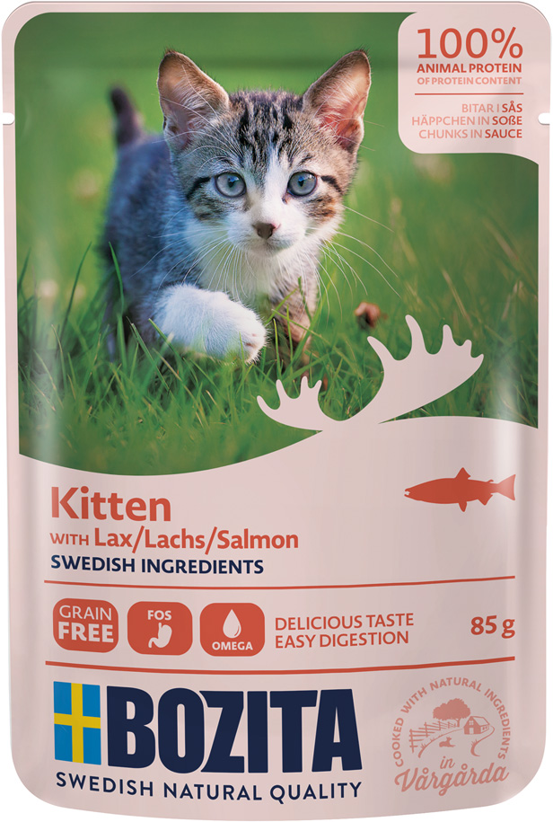 HiS mit Lachs für Kitten