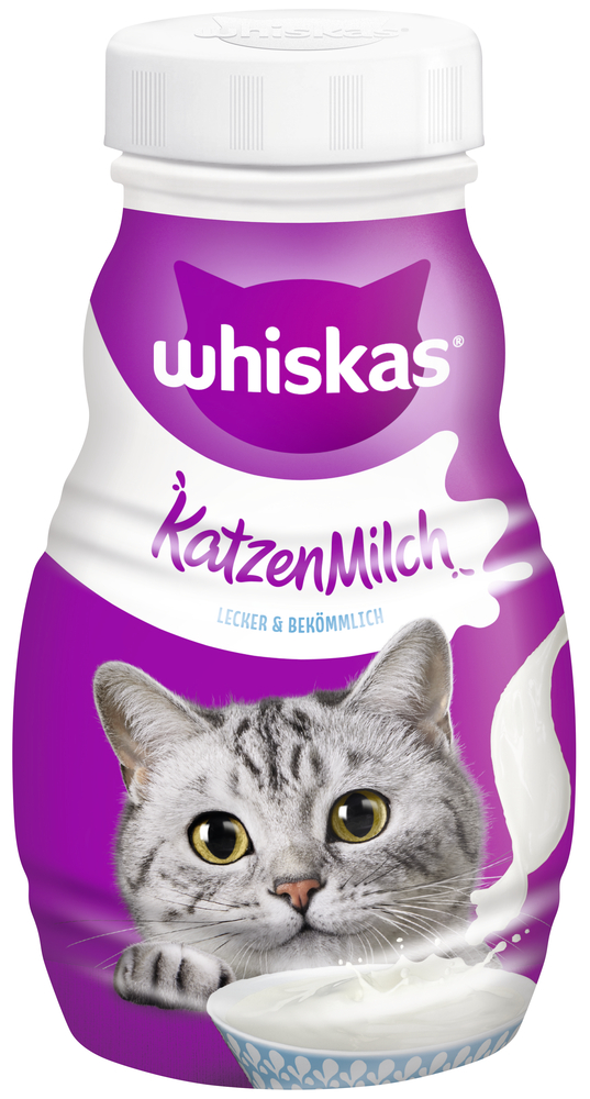 Katzen Milch