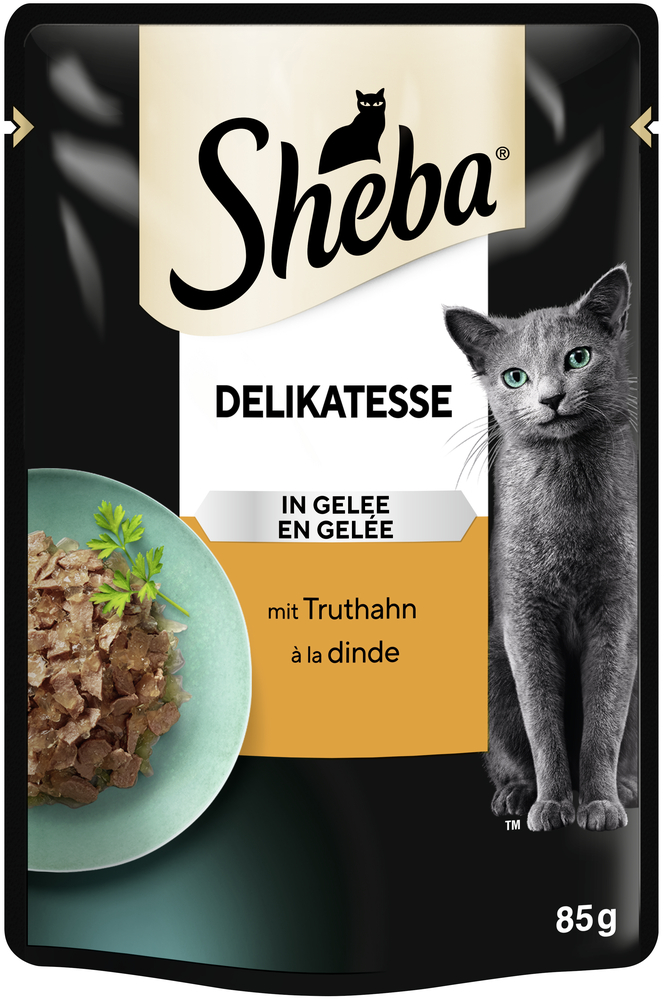 Delicatesse in Gelee mit Truthahn