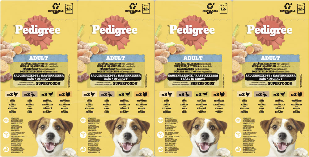 Pedigree - Multipack 4x Geflügel in Sauce - 1 x 12X100g - 6