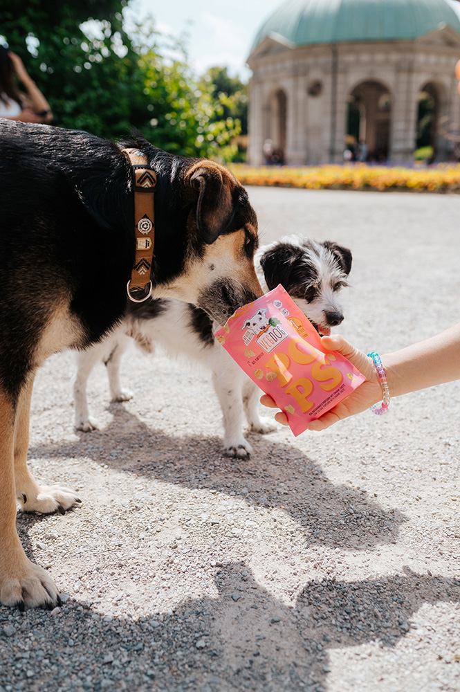 Vegdog - POPS - 1 x 20g - 3