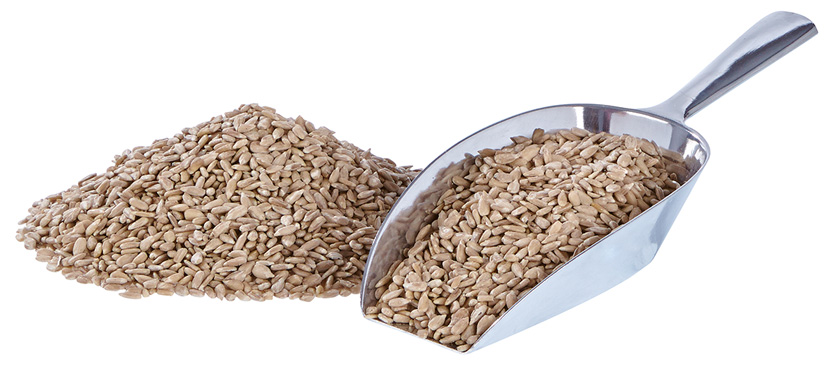 Sonnenblumenkerne geschält 25kg