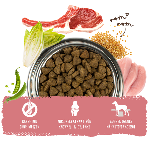 Bosch - Adult Lachs & Kartoffel - 1 x 15kg - 6